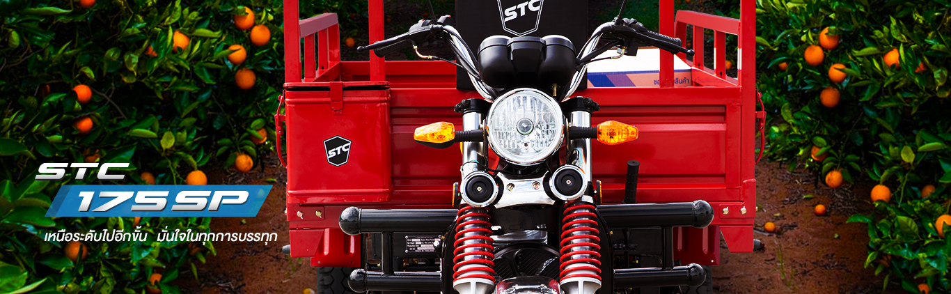 STC 175 SP Motor